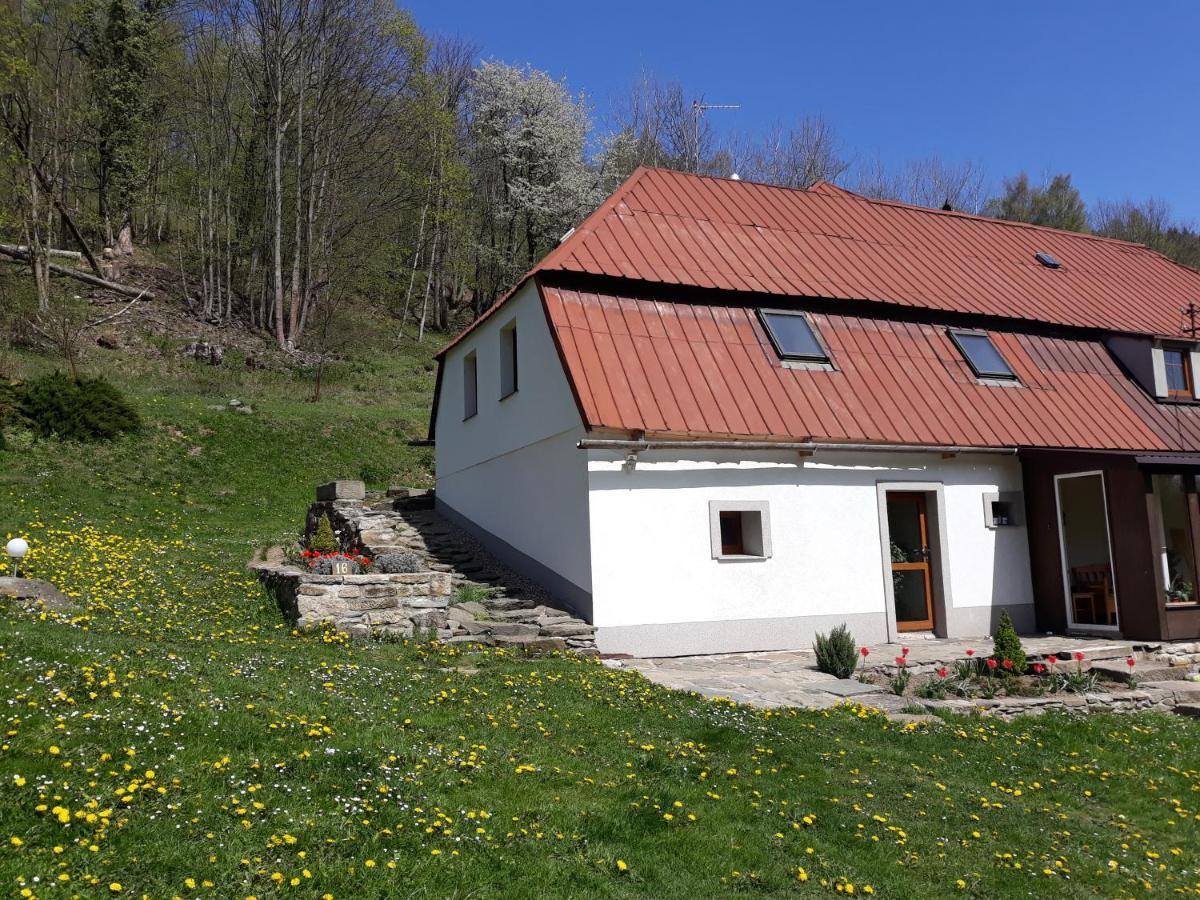 Pokoje Goscinne Thank You Life, Apartament 2 Forest For Rest Bystrzyca Kłodzka Buitenkant foto