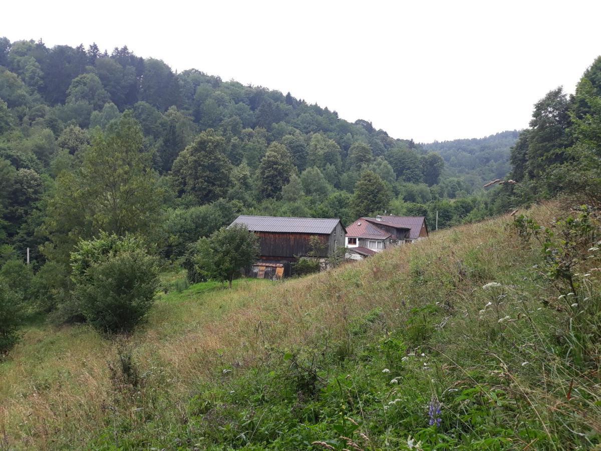 Pokoje Goscinne Thank You Life, Apartament 2 Forest For Rest Bystrzyca Kłodzka Buitenkant foto